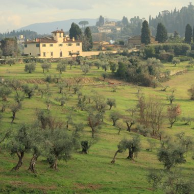 Tuscan landscape clipart