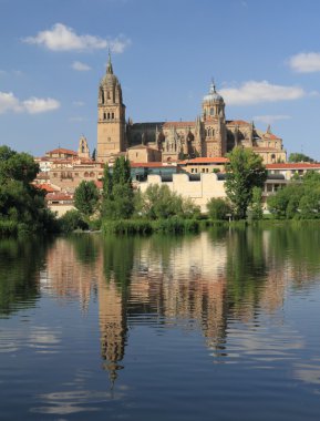 Old cathedral on riverside