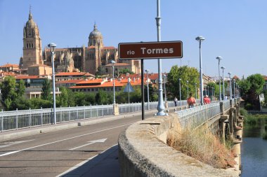 Bridge in Salamanca clipart