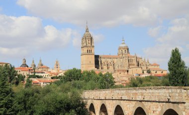 Old roman bridge with a view of Salamanca clipart