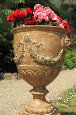 Antique garden vase with begonias flower clipart