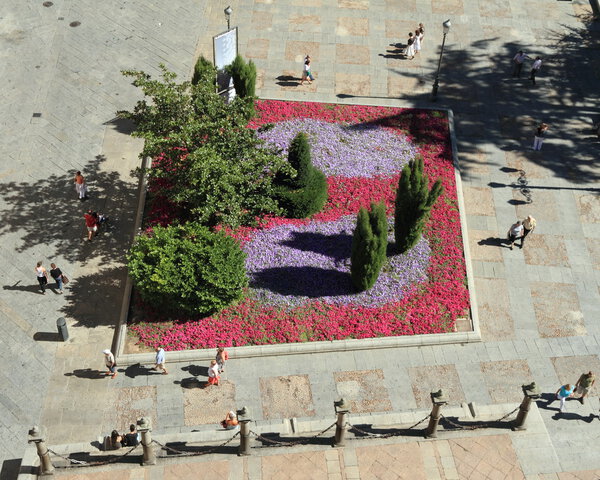 Flowerbed seen from up
