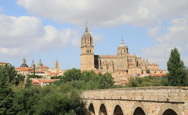 Antiguo puente romano con vistas a Salamanca — Foto de Stock