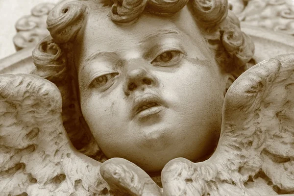 Face angélica — Fotografia de Stock