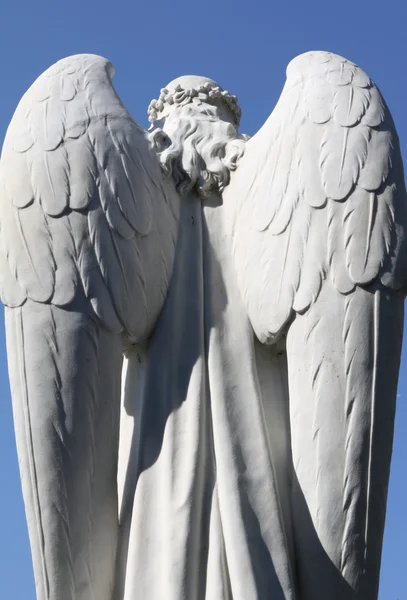 날개 달린된 천사 — 스톡 사진
