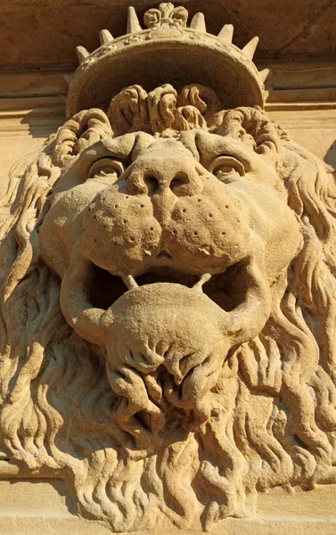 Lion king — Stock Photo, Image