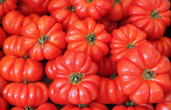 Fondo de tomates ecológicos — Foto de Stock