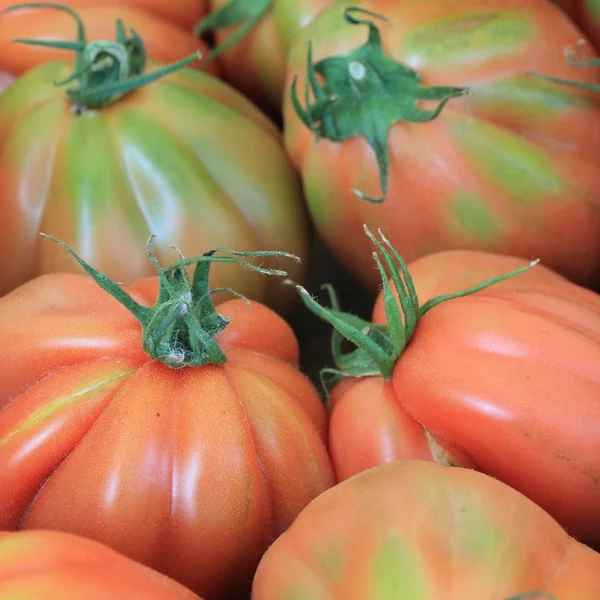 Bio domates — Stok fotoğraf