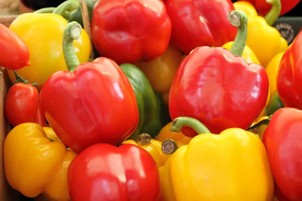 Bell pepper mix — Stock Photo, Image