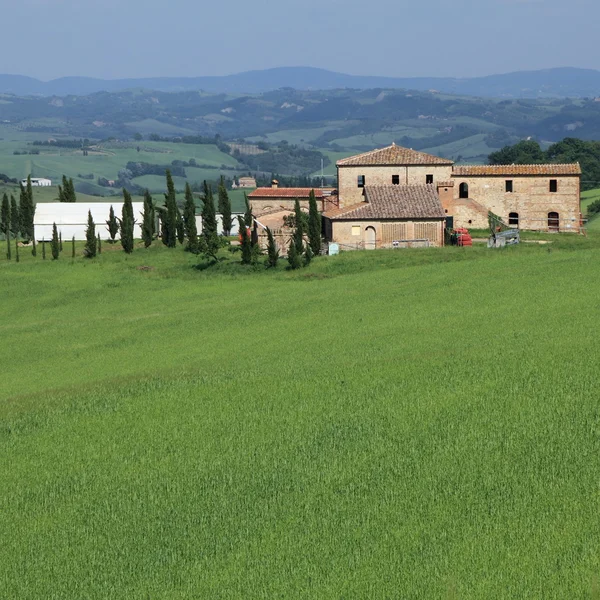 Farm in Toskania — Zdjęcie stockowe