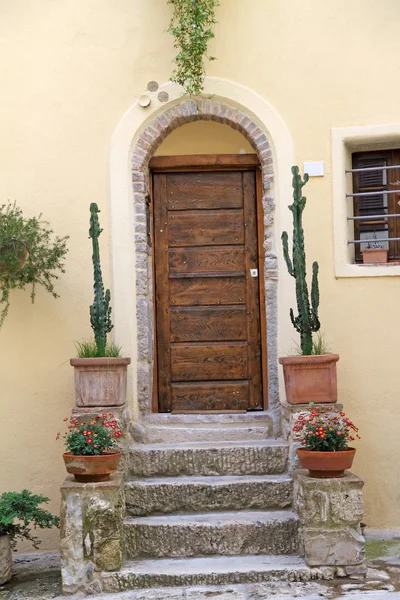 Входная дверь с кактусами — стоковое фото