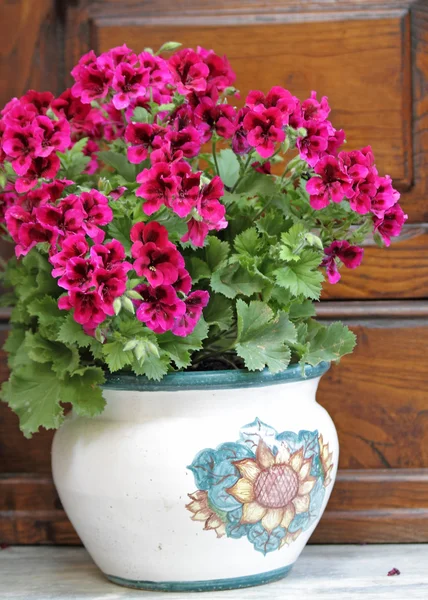 Petunie rosa in vaso rustico — Foto Stock