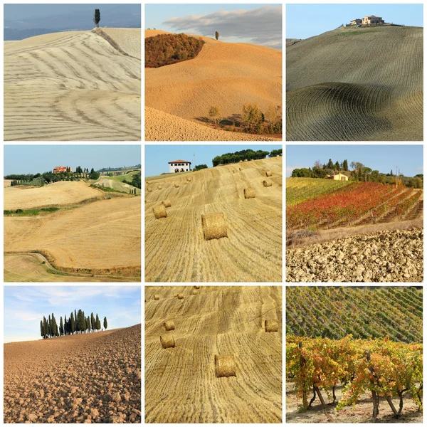 Collage met schilderachtige Toscaanse land landschap — Stok fotoğraf