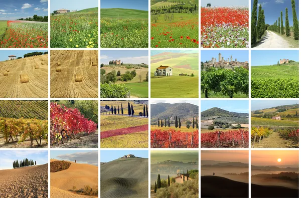 Collage med fantastiska landskap av Toscana — Stockfoto