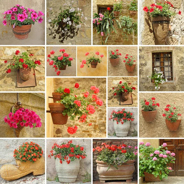 Set of flower pots — Stock Photo, Image