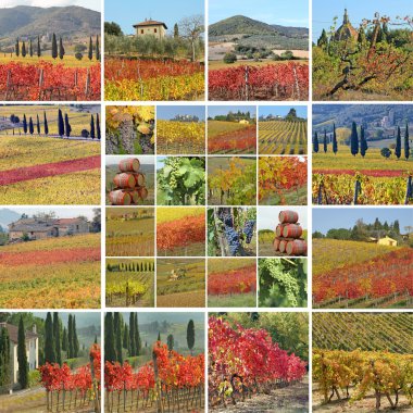 Fall vineyards collage clipart