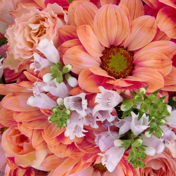 Bouquet sucré — Photo