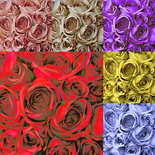 Коллажная открытка со множеством разноцветных роз — стоковое фото