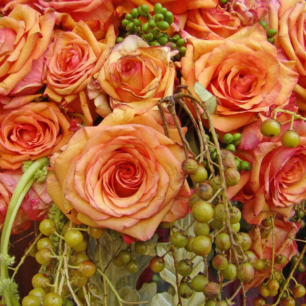 Orange roses composition — Stock Photo, Image