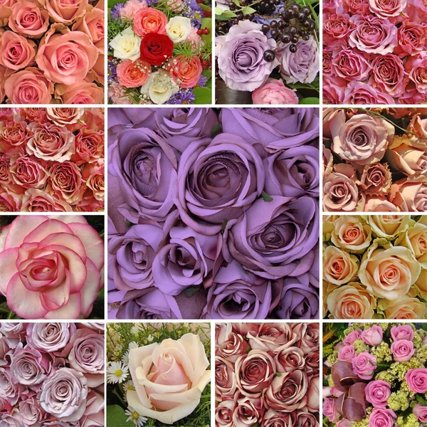 Bröllop kort med rosor kompositioner — Stockfoto