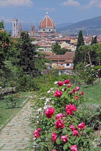 Θέα στη Φλωρεντία από Φλωρεντίας κήπο των Ρόδων — Φωτογραφία Αρχείου