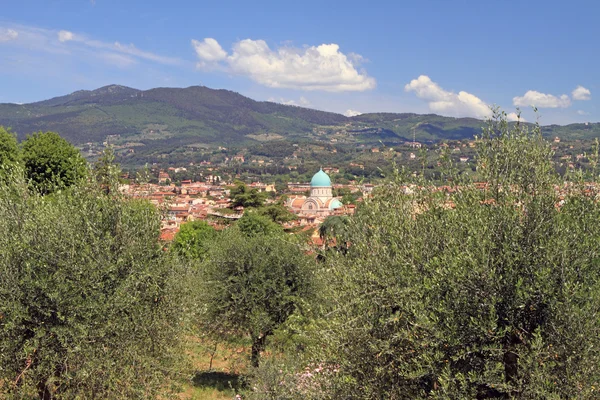 Florenzlandschaft mit Blick auf große Synagoge und Florentin — Stockfoto