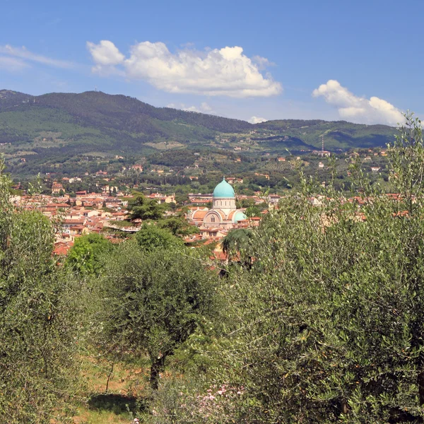 Toskanischen Hügeln mit großer Synagoge von Florenz — Stockfoto