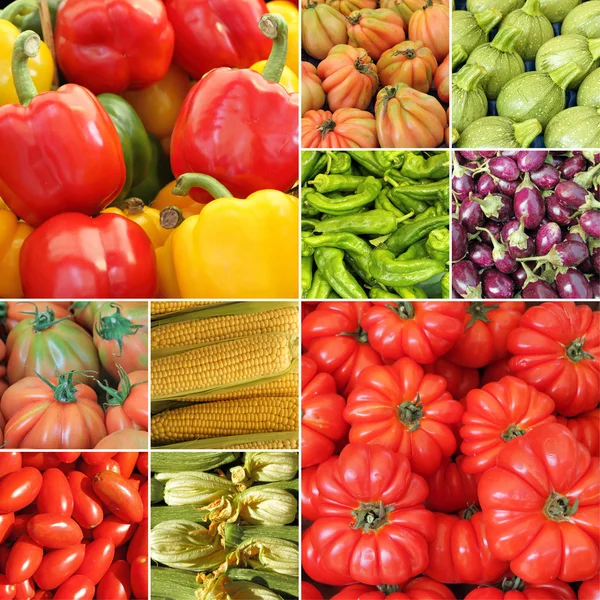 Collage con verduras frescas — Foto de Stock
