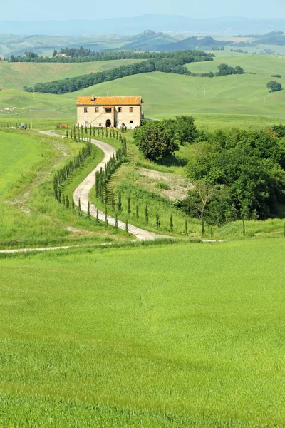 Toscaanse idylle — Stockfoto