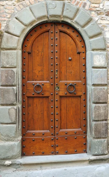 Elegant double vintage door — Stock Photo, Image