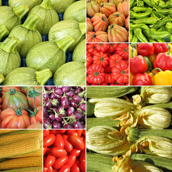 Courgette en andere groenten samenstelling — Stockfoto
