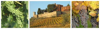 Collage with vineyards and castle, Brolio clipart