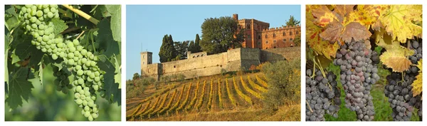 Göksel çölcollage met wijngaarden en kasteel brolio — Stockfoto