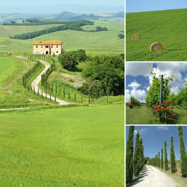 Colagem com paisagem toscana, Chianti, Itália, Europa — Fotografia de Stock