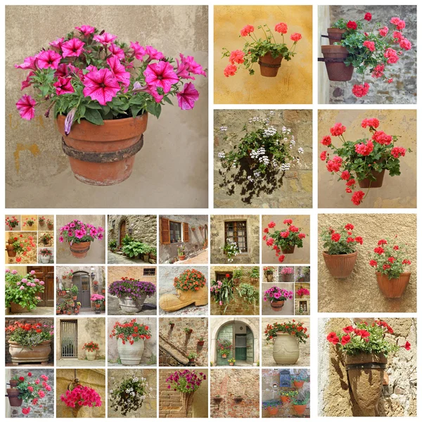 Rustieke bloempotten collage — Stockfoto