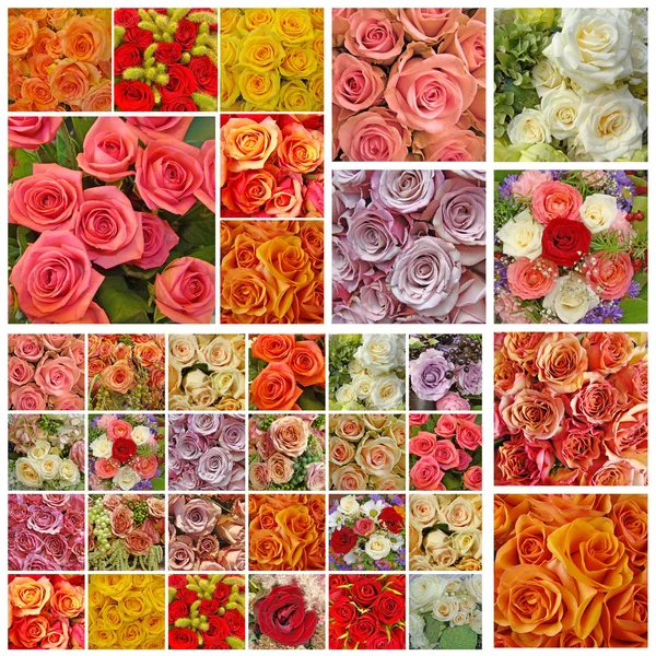 Коллаж с большим количеством роз — стоковое фото