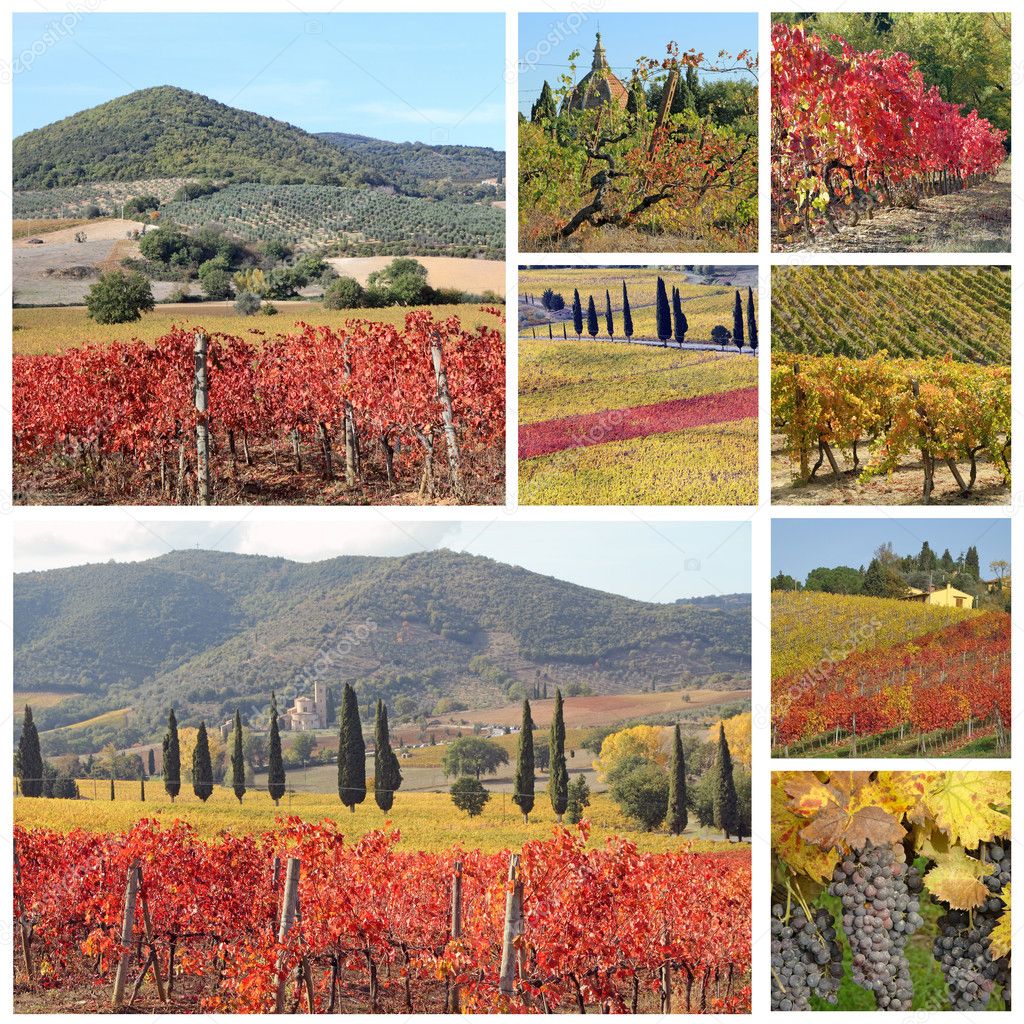 Collage with fantastic landscape of tuscan vineyards in autumn