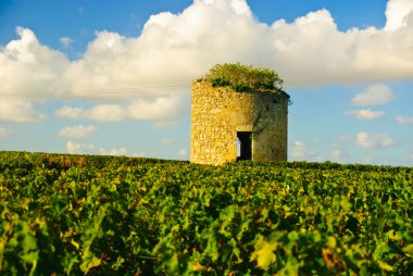 Old ruined stone medieval tower in vineyard in region Medoc, France clipart