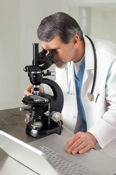 Doktor na mikroskopu a počítač — Stock fotografie