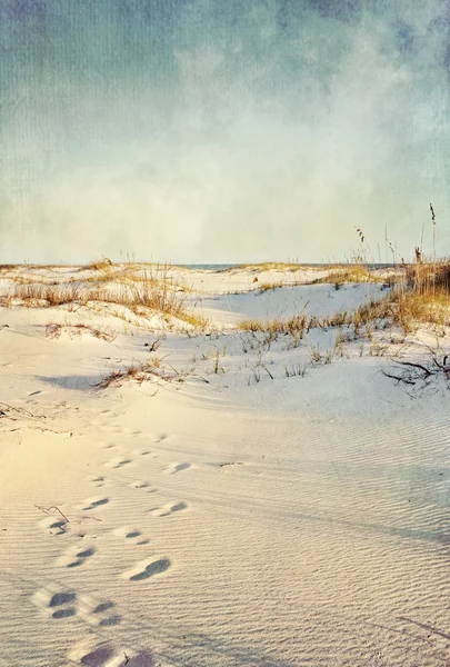 Písečné duny v západu slunce texturou krajina — Stock fotografie
