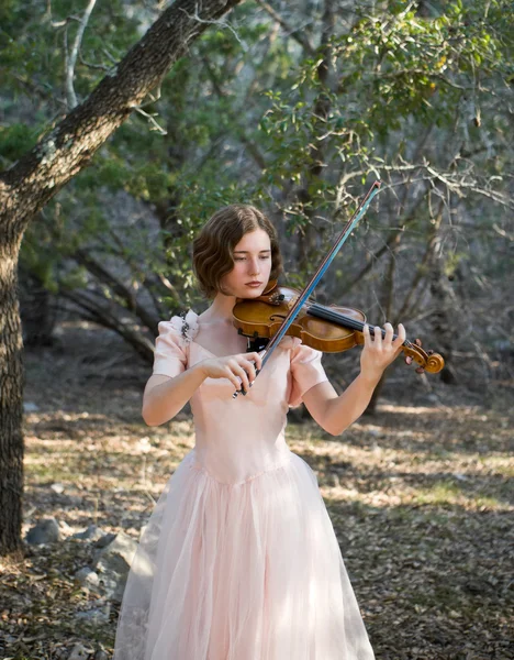 Fiddling In The Forest — Stock Photo, Image
