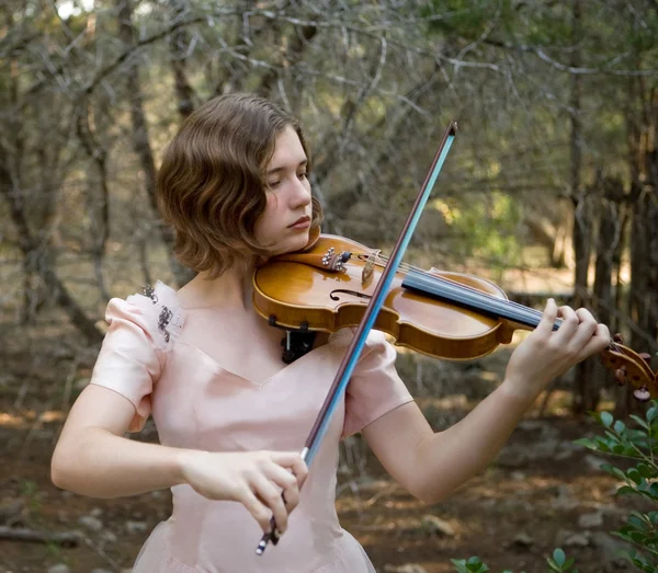 Скрипичная девочка, играющая в лесу — стоковое фото