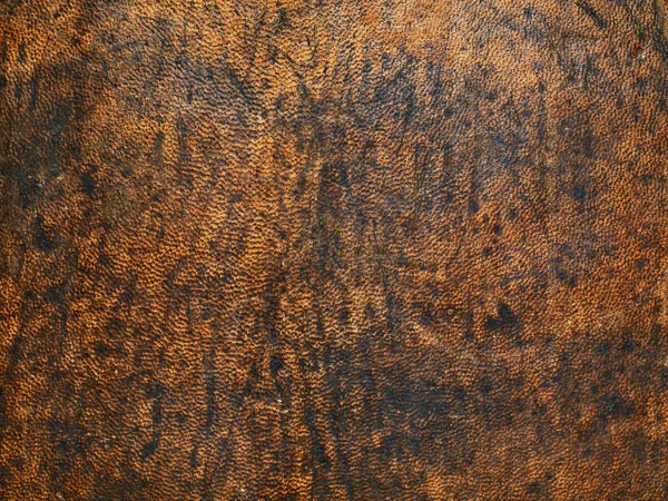 Grunge gamla läder texture Stockbild
