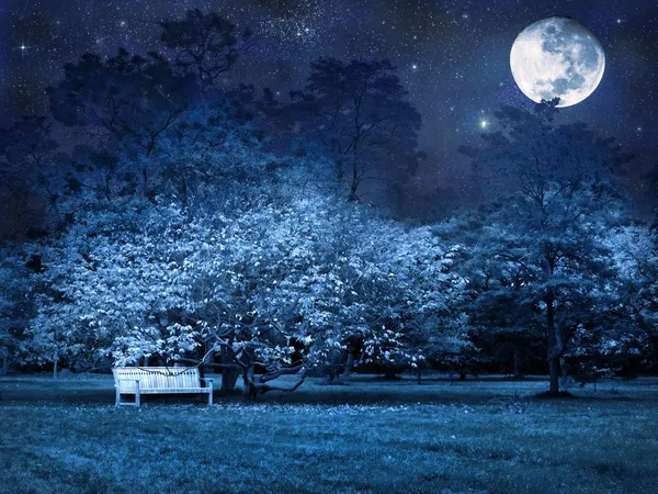 Volle maan nacht in park — Stockfoto