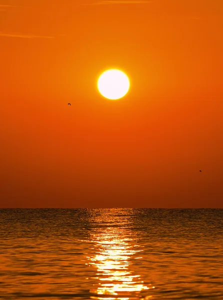 日出在海面上 — 图库照片