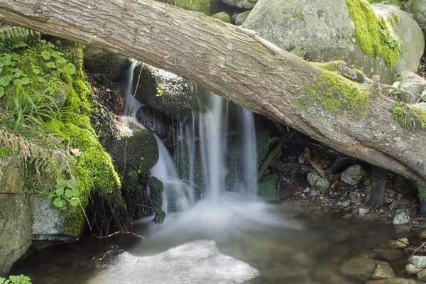 Fallendes Wasser — Stockfoto