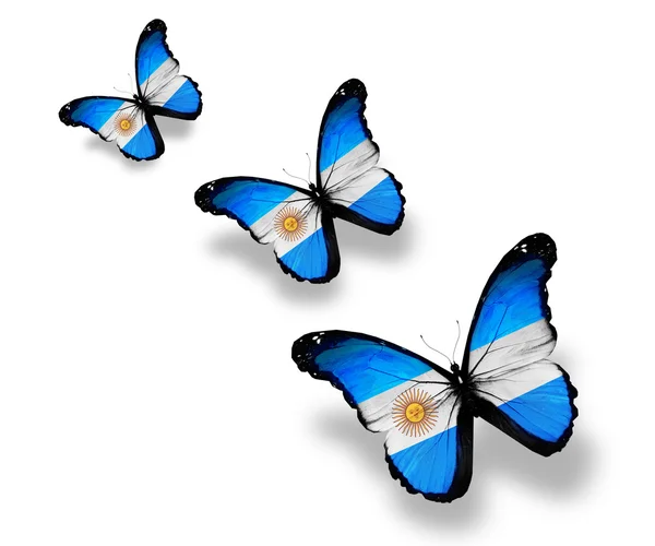 Tres mariposas de bandera argentina, aisladas en blanco — Foto de Stock