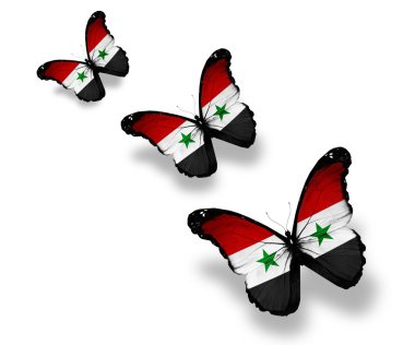 beyaz izole üç Suriye bayrağı kelebekler