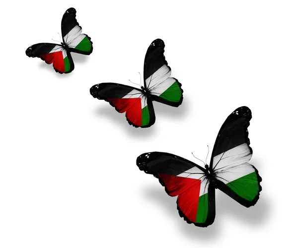 3 パレスチナの旗、蝶、白で隔離されます。 — ストック写真