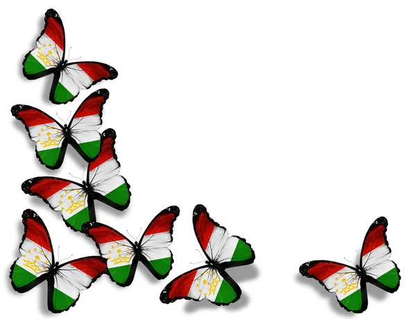 Tádžický vlajky motýly, izolovaných na bílém pozadí — Stock fotografie